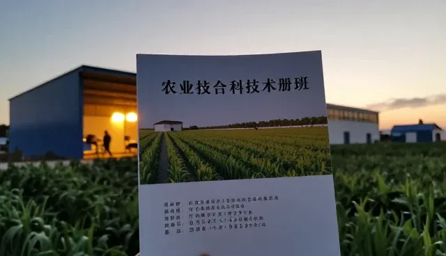 种苗选择与种植技术要点解析