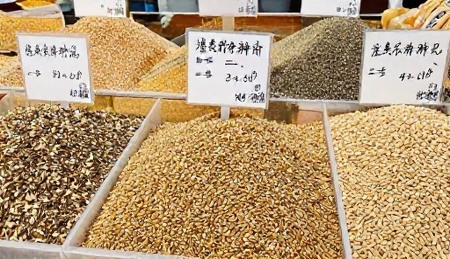 农作物种子选型与使用建议